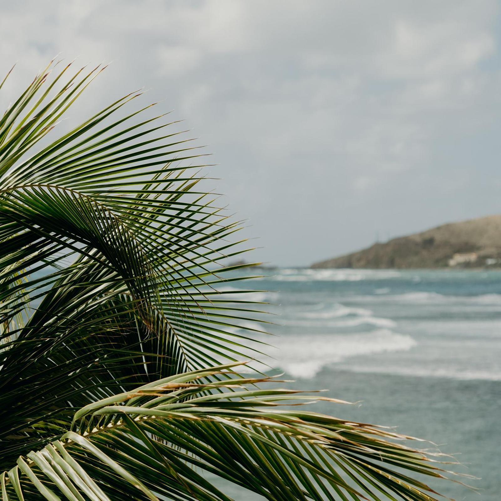 Grapetree Bay Hotel And Villas Christiansted Exterior foto